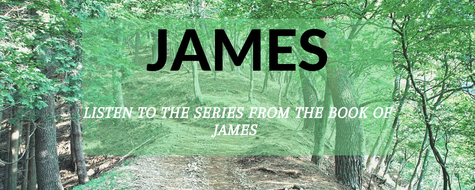James series banner